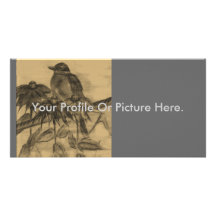Vintage Robin Profile Card Photo Greeting Card
