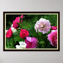 Vintage Rose Impressions Posters