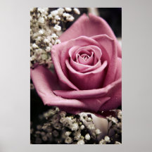 Vintage Rose print