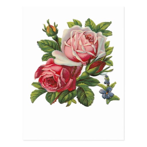 VINTAGE ROSES POST CARDS