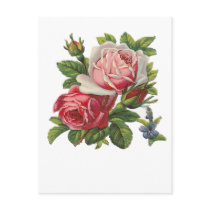 VINTAGE ROSES POST CARDS