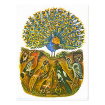 Vintage Russian illustrations, Aesop's fables 5 Post Cards
