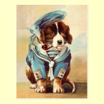 Vintage Sailor Dog postcards