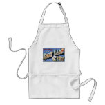 Vintage Salt Lake City Postcard aprons