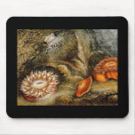 Vintage Sea Anemones Mousepads