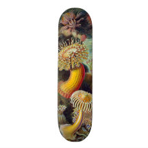 Vintage sea anemones scientific illustration skateboard deck