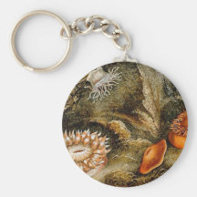 Vintage Sea Life Key Chain