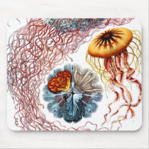 Vintage Sea Life Mousepads