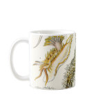 Vintage Sea Slugs mugs