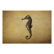 Vintage Seahorse Illustration Photograph