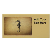 Vintage Seahorse Illustration Picture Card