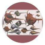 Vintage Seashells stickers