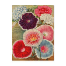 Vintage Seed Packet Cards, Postage and Gifts