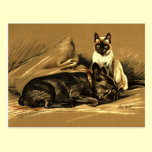 Vintage Siamese Cat and French Bulldog postcards