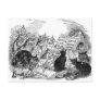 Vintage Singing Cats Postcards