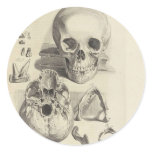 Vintage Skulls Round Stickers