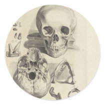 Vintage Skulls Round Stickers