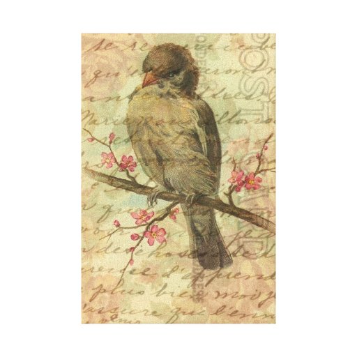 Vintage Sparrow Canvas Prints