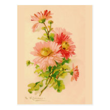 Vintage Spring Bouquet Postcard