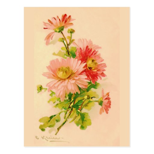 Vintage Spring Bouquet Postcard
