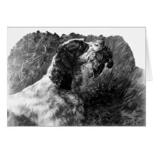 Vintage Springer Spaniel art Card