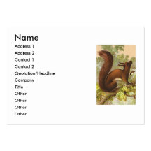 Vintage Squirrel Business Card Templates