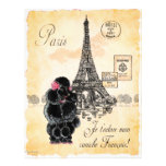 Vintage Style Black Poodle Eiffel Tower Print Letterhead Template