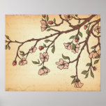 vintage style cherry blossom art print