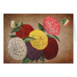 Vintage style Chrysanthemum display Cards