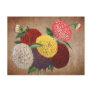Vintage style Chrysanthemum display Postcard