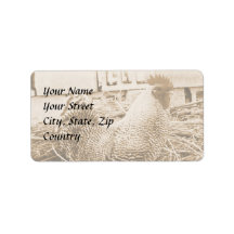 Vintage Style Rooster Photograph Labels