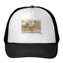 Vintage Style Rooster Photograph Mesh Hats