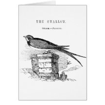 Vintage swallow bird card