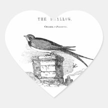 Vintage swallow bird stickers
