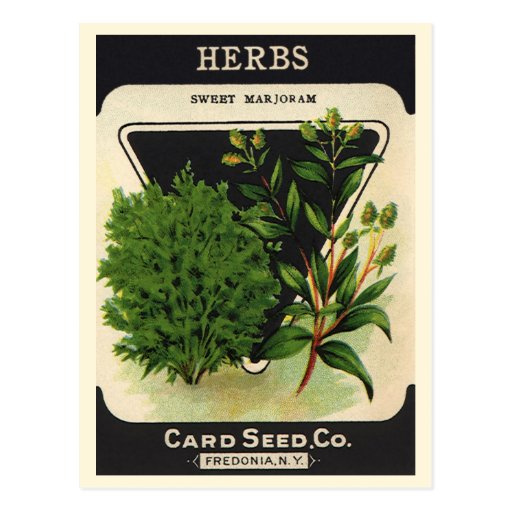 Vintage Sweet Marjoram Herbs Seed Packet Label Art Post Card