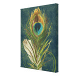Vintage Teal Peacock Feather canvas prints