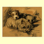 Vintage Terrier and Westie postcards