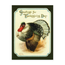 Vintage Thanksgiving Day Turkey Postcard