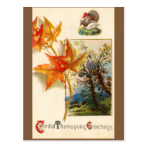 Vintage Thanksgiving Postcard
