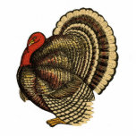 Vintage Thanksgiving Turkey Pin Cut Outs