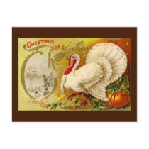 Vintage Thanksgiving Turkey Postcard