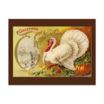 Vintage Thanksgiving Turkey Postcard