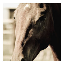 Vintage Thoroughbred  Invitations