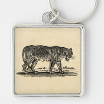 Vintage Tiger Illustration - 1800's Tigers African Keychain