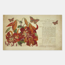 Vintage Tiger Lily Botanical Illustration Rectangular Sticker