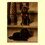 Vintage Toy Dogs postcards