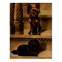 Vintage Toy Dogs Postcards