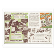 Vintage Travel Poster Ad Retro Prints Post Cards
