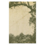 Vintage Tree Background stationery