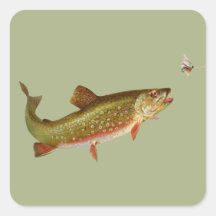 Vintage trout square stickers